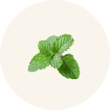 Aromático