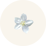 Almizclado