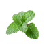 Aromático