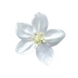 Almizclado